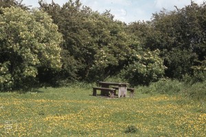 Picnic site South West of Lake. Cosmeston 1985