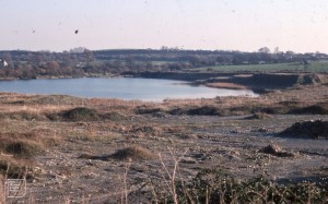 Cosmeston. Early stage in Lias rubble colonisation by South end of West lake. November 1976