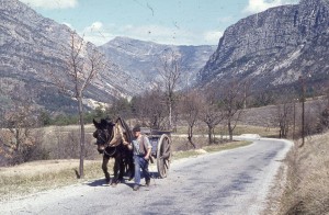 Mule cart, Gorge de Verdon near Durance