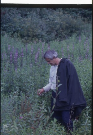 Mike Wiley. Warden for 30 years in Forest Farm, West pond, July 2000.