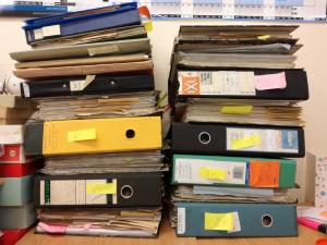 The files which contain the bulk of Mary's wildlife notes