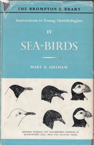 Instructions to Young Ornithologists, IV: Sea Birds