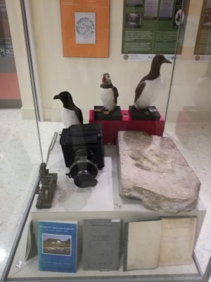 Morrey Salmon (1890-1985) was one of Wales' greatest ornithologists and bird photographers, this is one of Morrey's cameras. Morrey was a member of Cardiff Naturalists from 1910 until his death.
