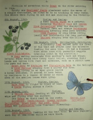 Mary's Nature diary from 1940