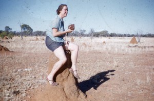 Termites not ants! Prue, near Cloncurry, Queensland. 1958